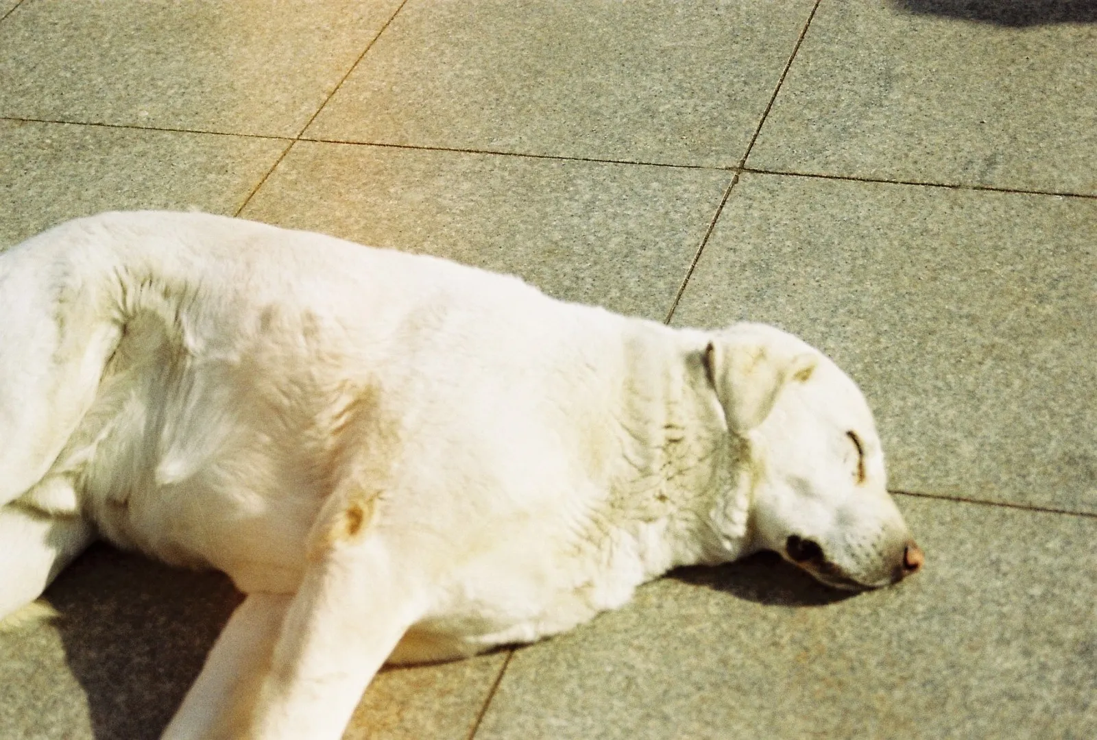 #filmisnotdead no.8 — kare 3