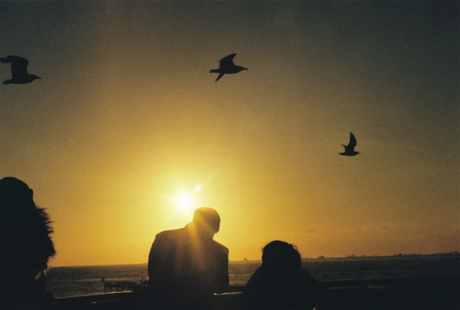 #filmisnotdead no.8 — kare 14