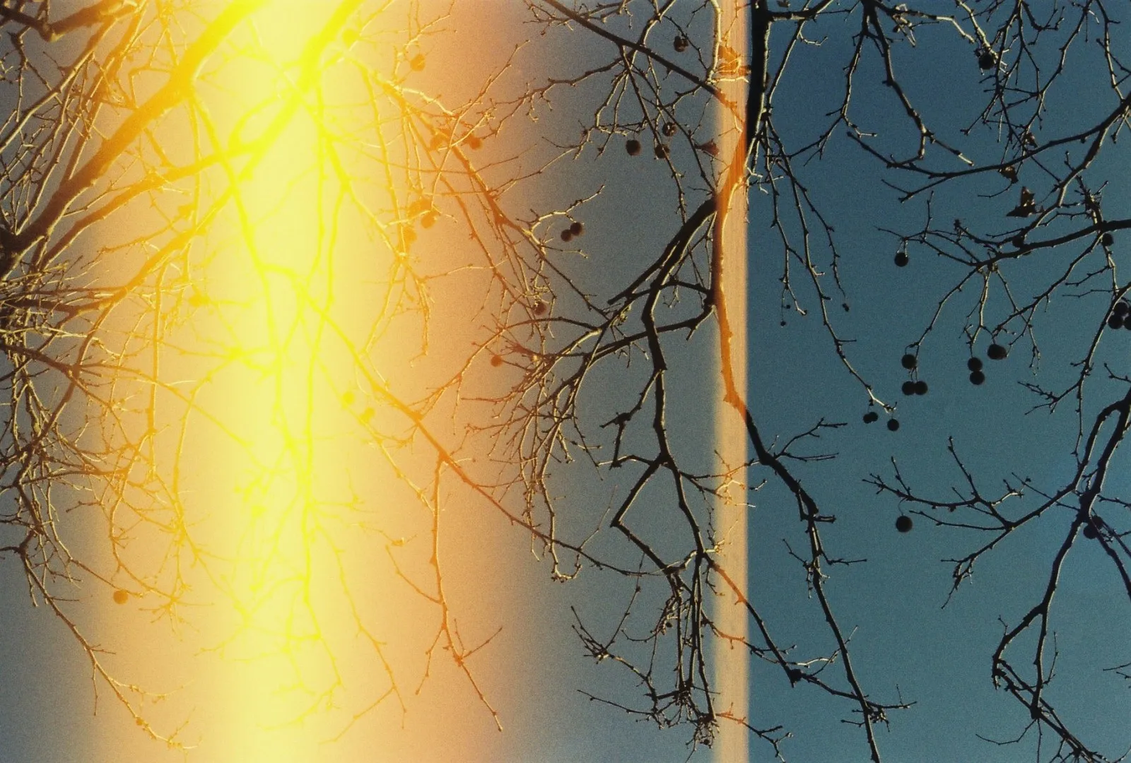 #filmisnotdead no.8 — kare 15