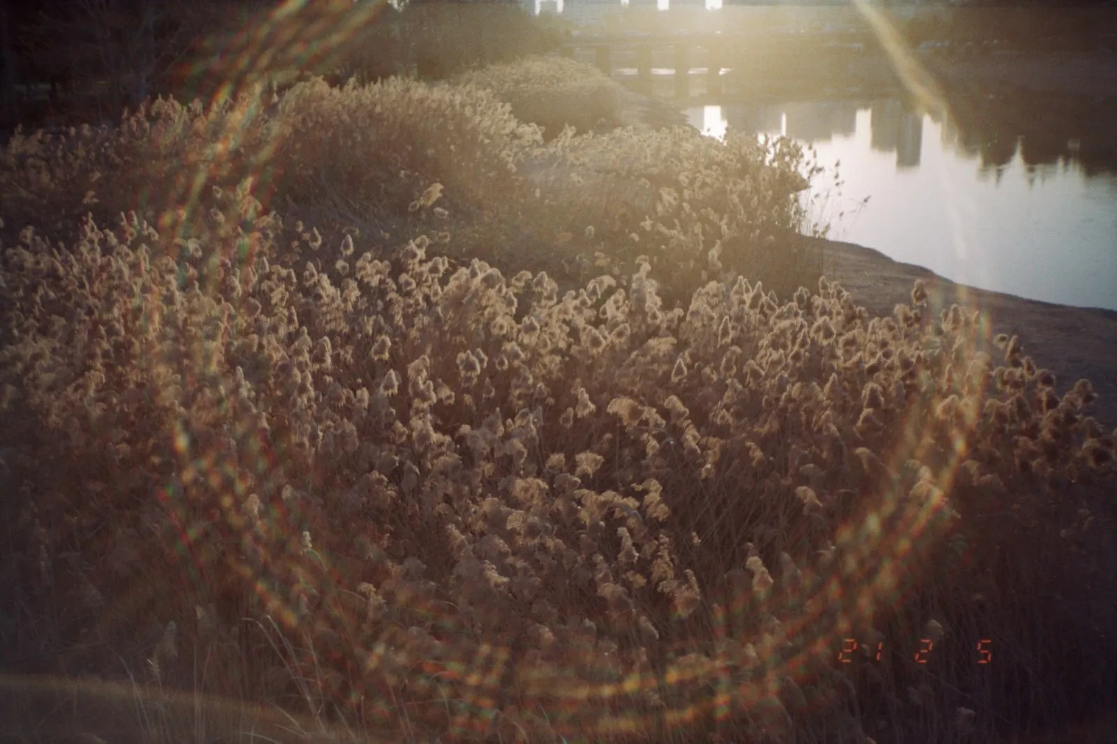 #filmisnotdead no.9 — kapak
